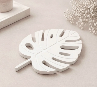 Podtácek - monstera